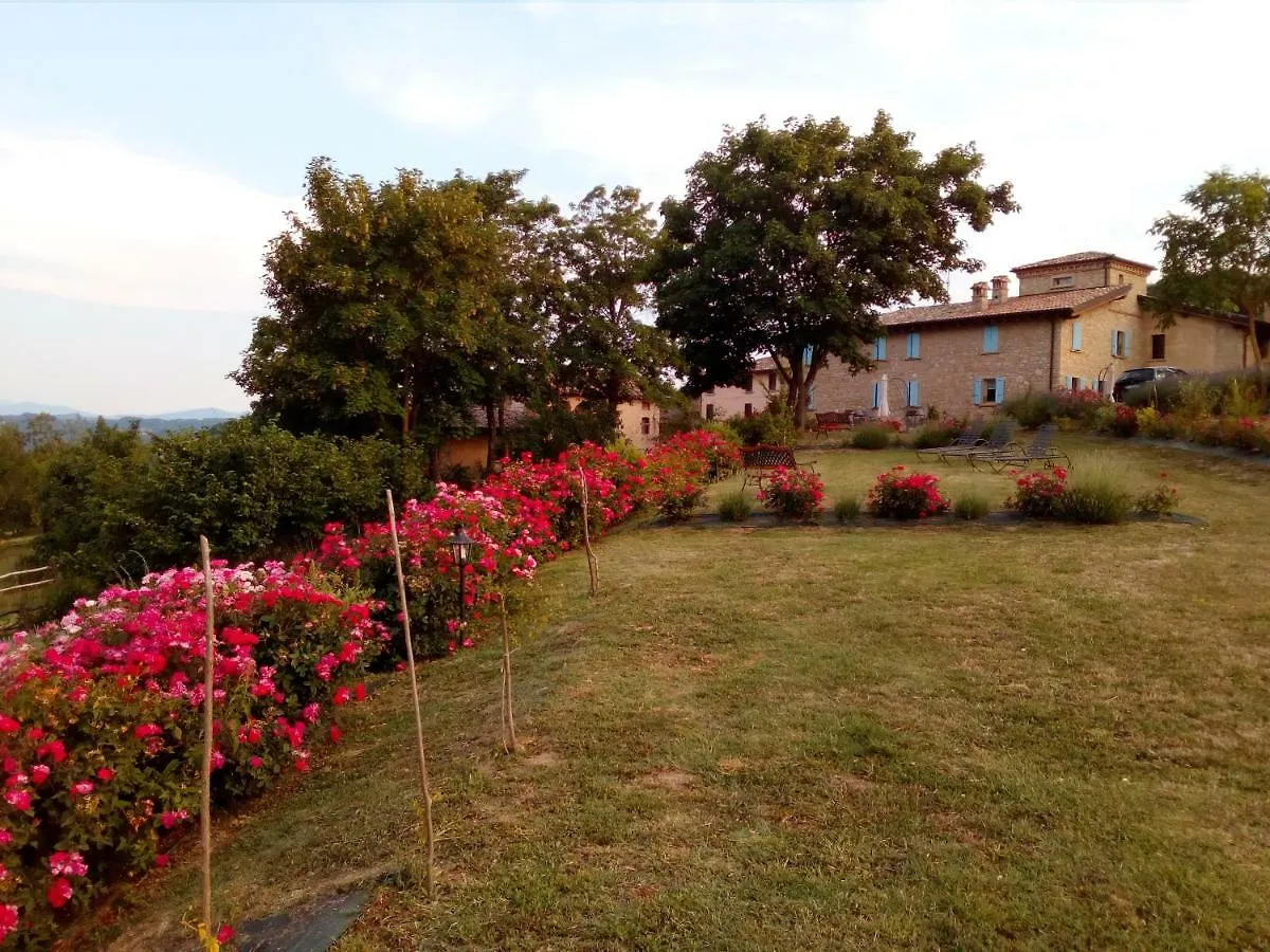 Madonna della Corte Reggio nell'Emilia 0*,